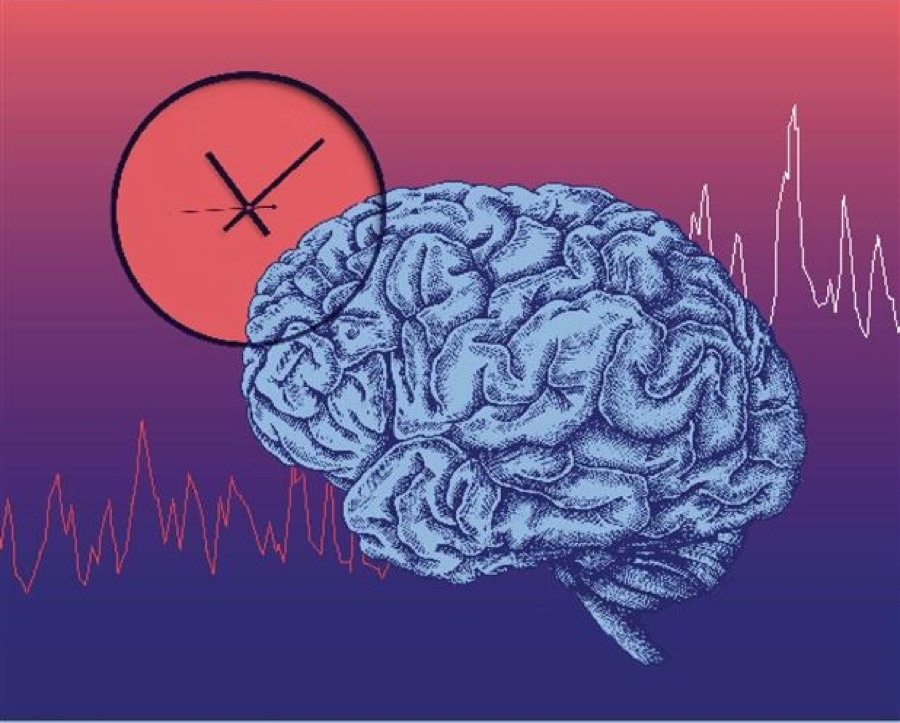 Illustration of a brain and clock over an EEG-style trace, for the sleep and seizure risk paper