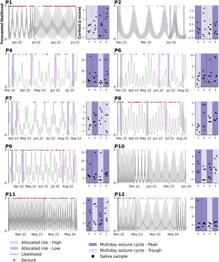 Forecasted seizure likelihood and cortisol levels across multiday cycles, from the stress hormones paper